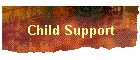 Child Support